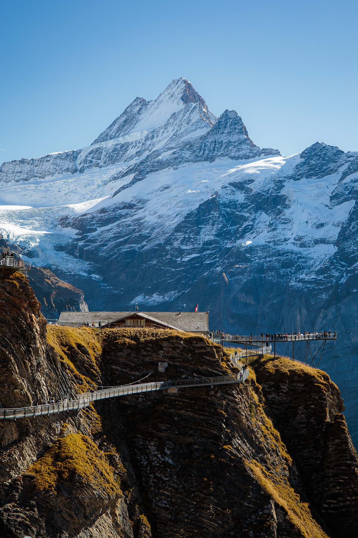 Vertikaler Blick auf den First Cliff Walk und das Bergrestaurant First mit Schweizer Flagge auf einer Graskanzel, dar&uuml;ber das m&auml;chtige schneebedeckte Schreckhorn unter blauem Himmel