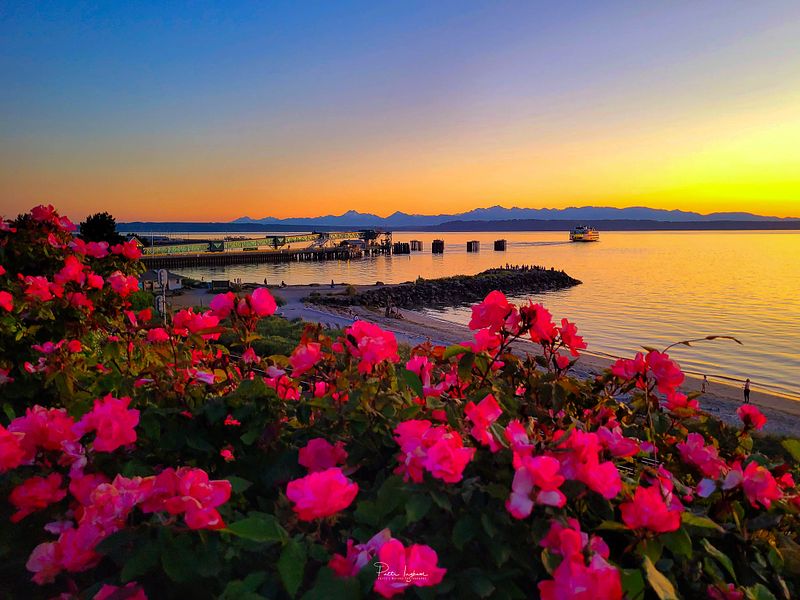 Puget Sound