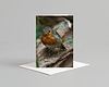 Bird Card Pack