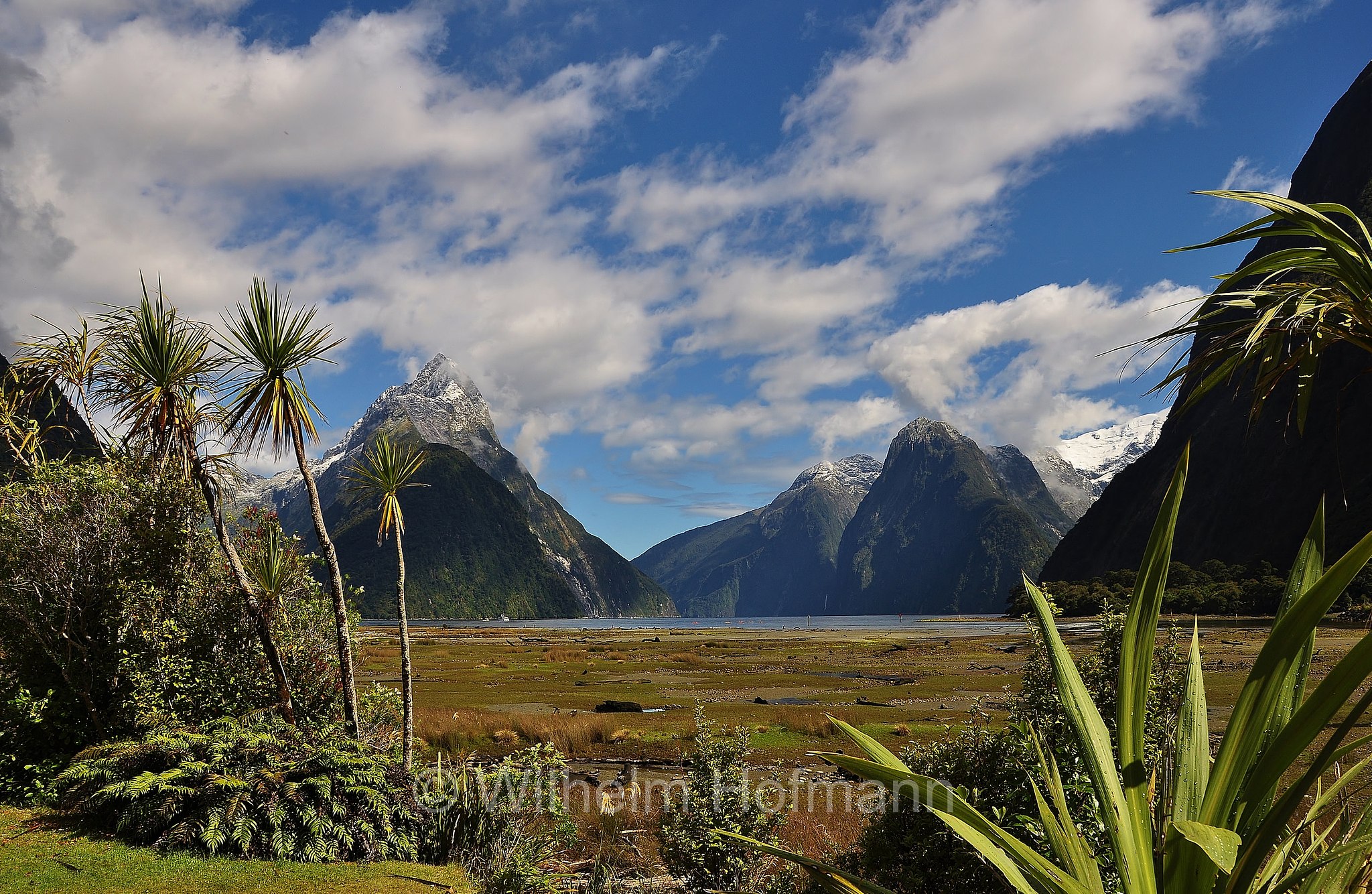 Piopiotahi, Milford Sound, Fiordland National Park, Fiordland-Nationalpark, Parco nazionale del Fiordland, South Island, Südinsel, Isola del Sud, New Zealand, Neuseeland, Nuova Zelanda