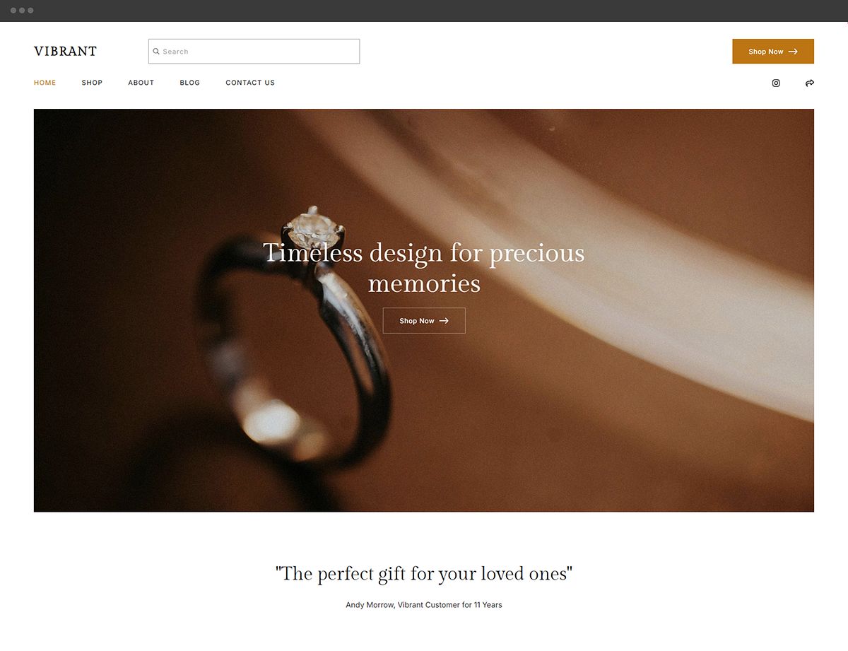 Online store portfolio website template