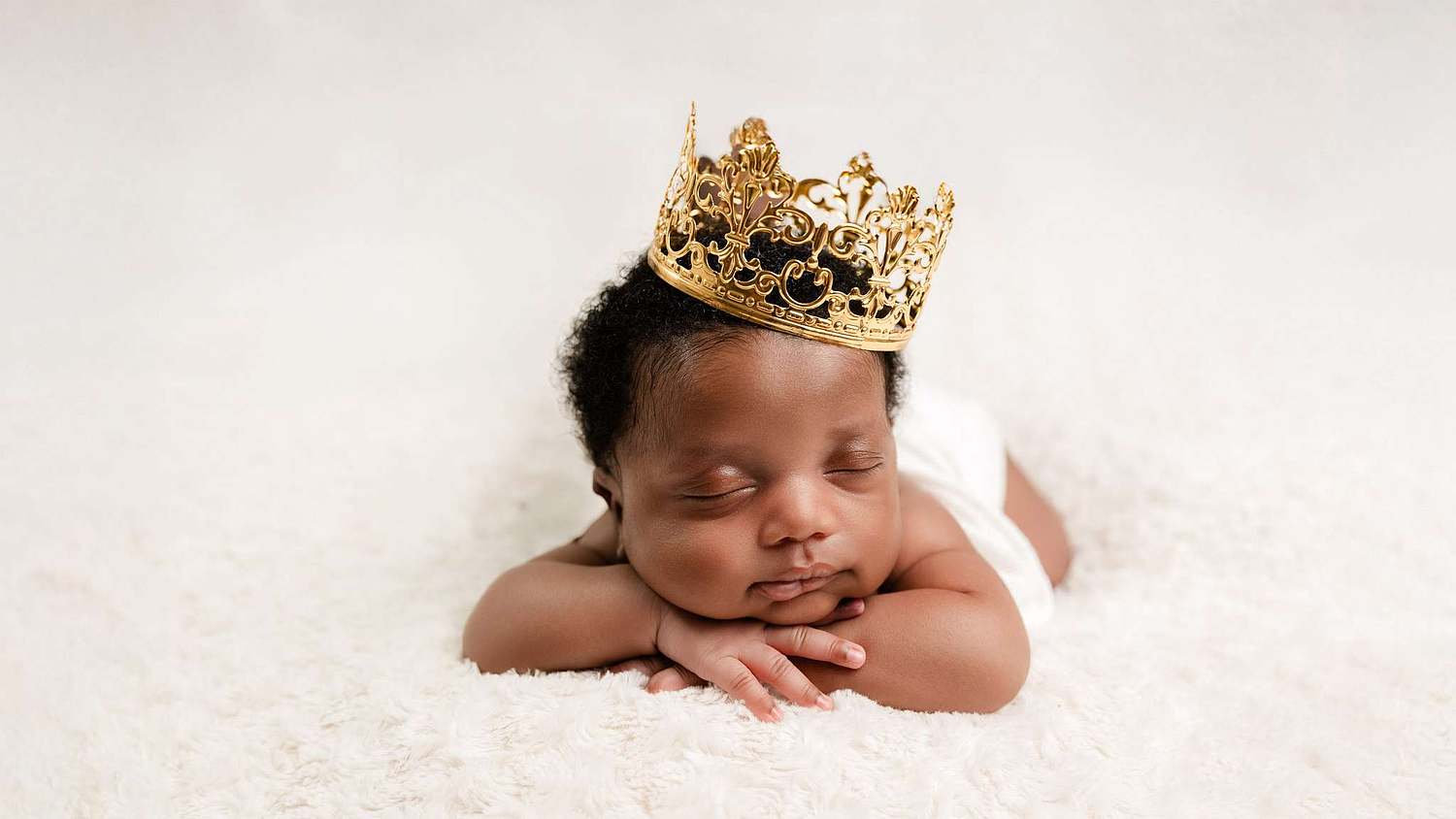 Charlotte Photographer