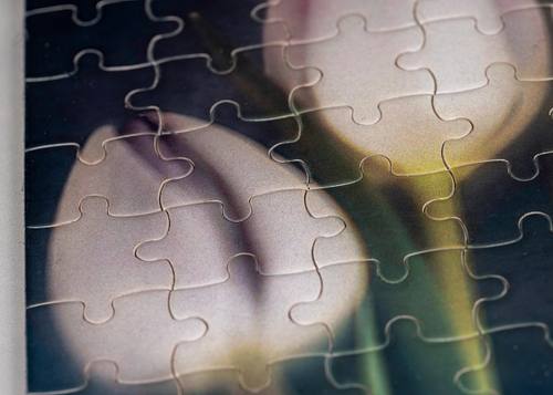 Puzzles, Gifts, & More