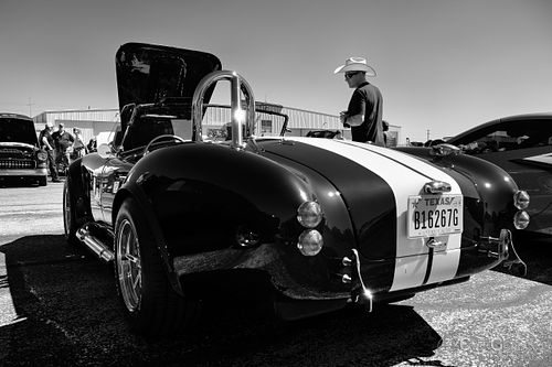 Cobra Texan