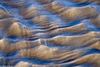 Midweek Oostelijke Waddenzee 5 dagen (4 - 8 mei 2026)