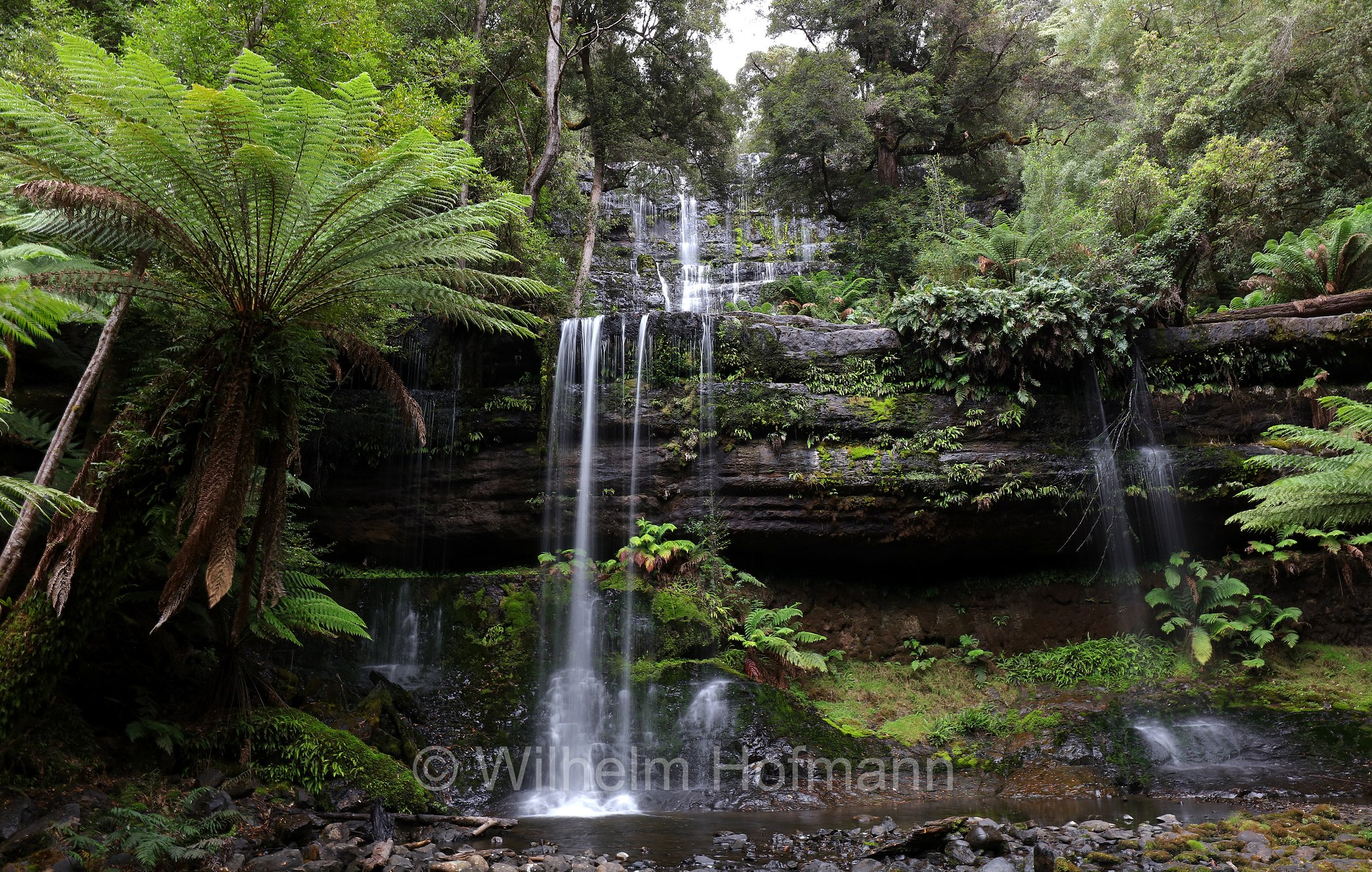 Russell Falls, Mount Field National Park, Mount-Field-Nationalpark, parco nazionale Mount Field, Tasmania, Tasmanien, Australia, Australien