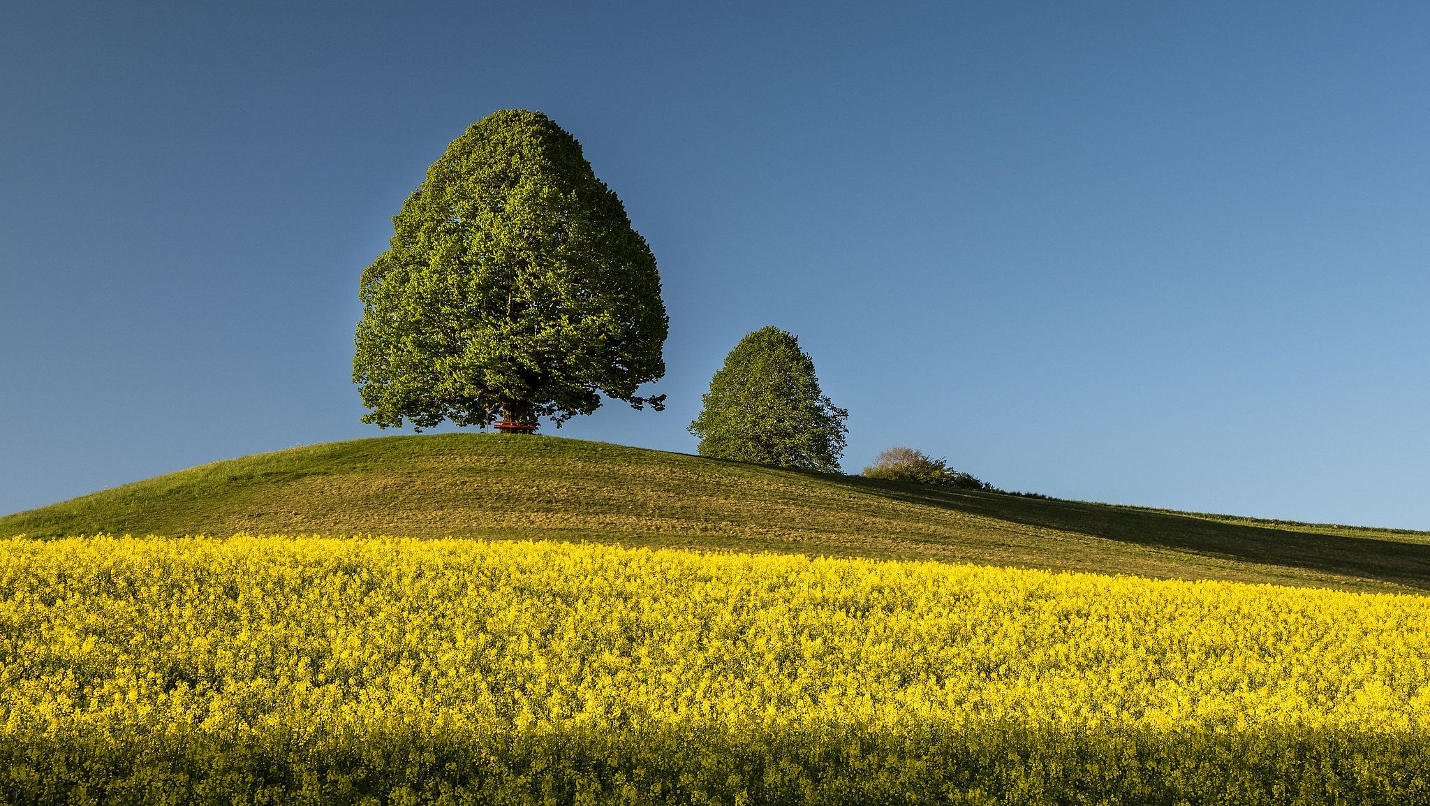 Zu den drei Linden