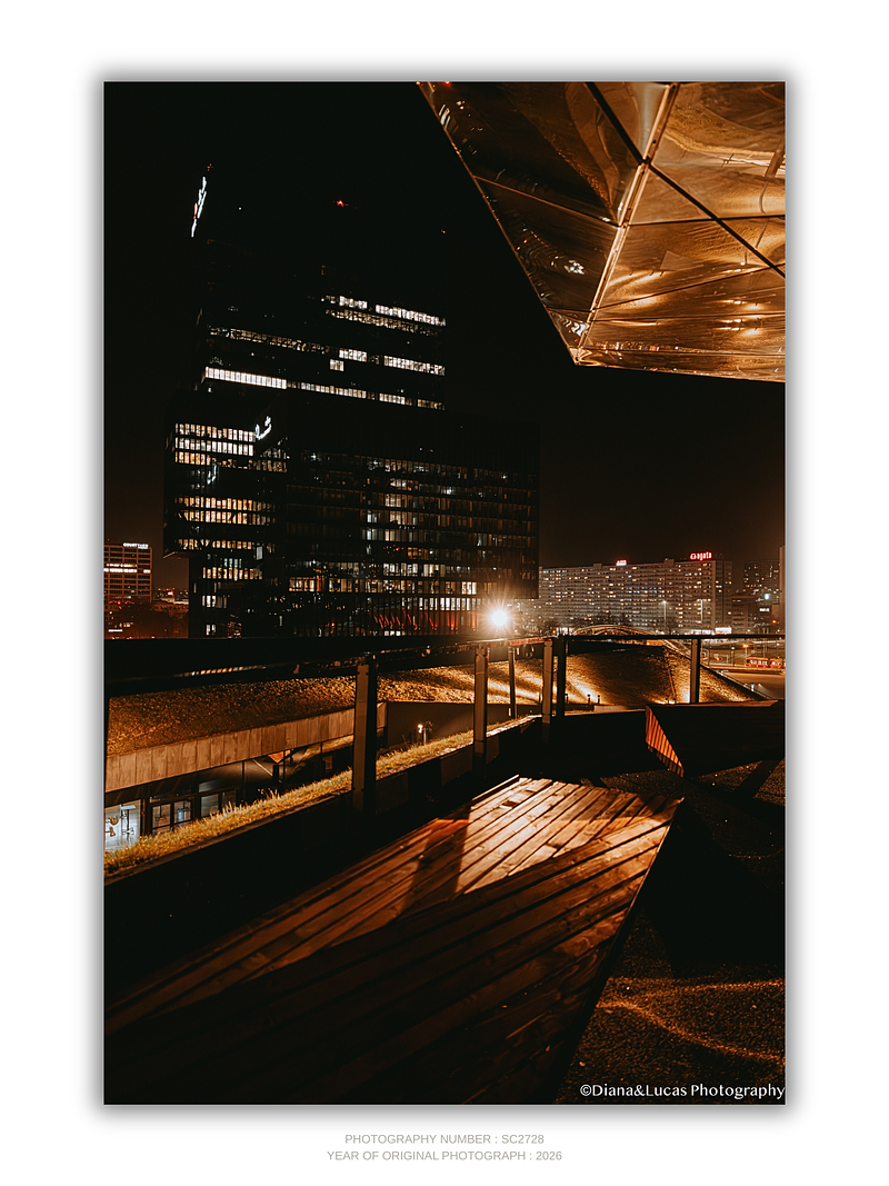 COLLECTION - URBAN GEOMETRY VERTICAL - "Rooftop View" - LIMITED EDITION 10 of 10