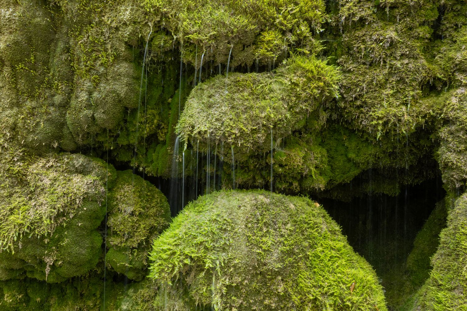 eriks natuurfoto