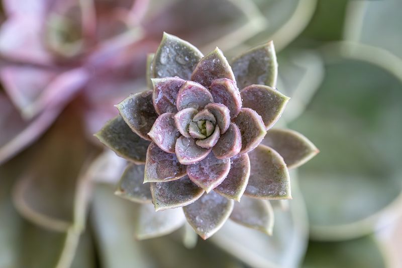 Learning to Notice the Little Things