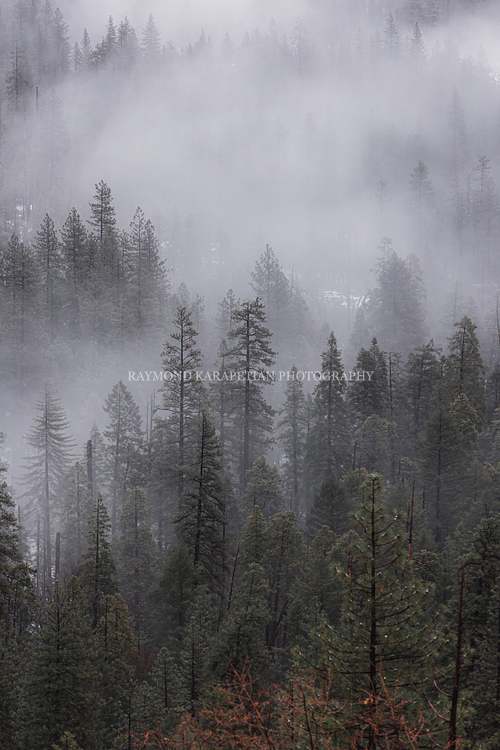 Canon Landscape Photography Savannah Travel Prints Yosemite Details
