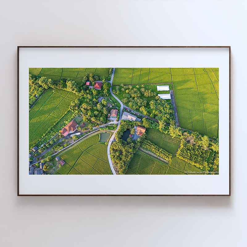 COLLECTION - FROM ABOVE HORIZONTAL - "The Village Between Fields" - LIMITED EDITION 10 of 10