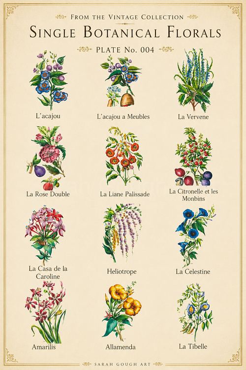 Vintage‑style botanical poster featuring twelve delicate watercolour illustrations of individual flowers, each labelled and arranged in neat rows on an aged cream background.