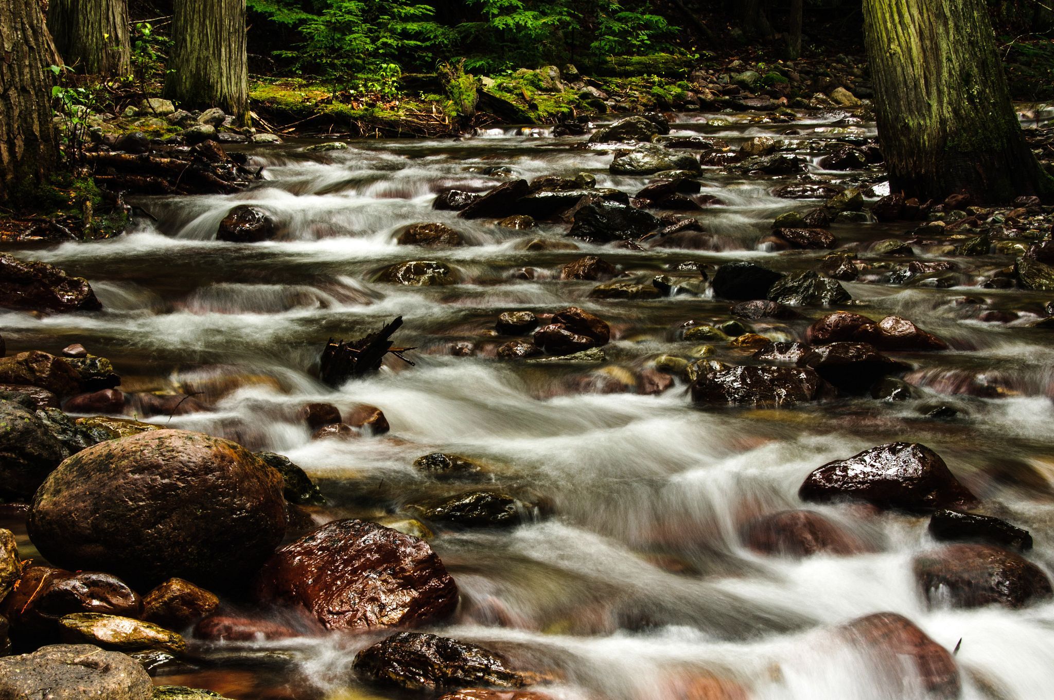 Montana Stream