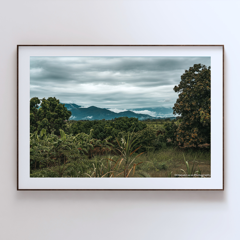 COLLECTION - GIANTS OF THE LAND HORIZONTAL -  "Before the Rain" - LIMITED EDITION 10 of 10