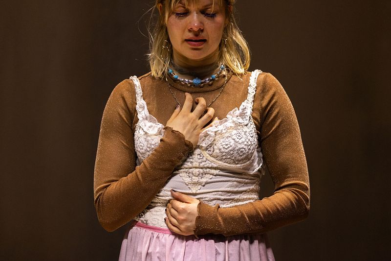 Sarvivälke