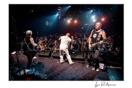 Horizontal color image of Rose Tattoo performing onstage before a packed crowd under bright blue and warm concert lights