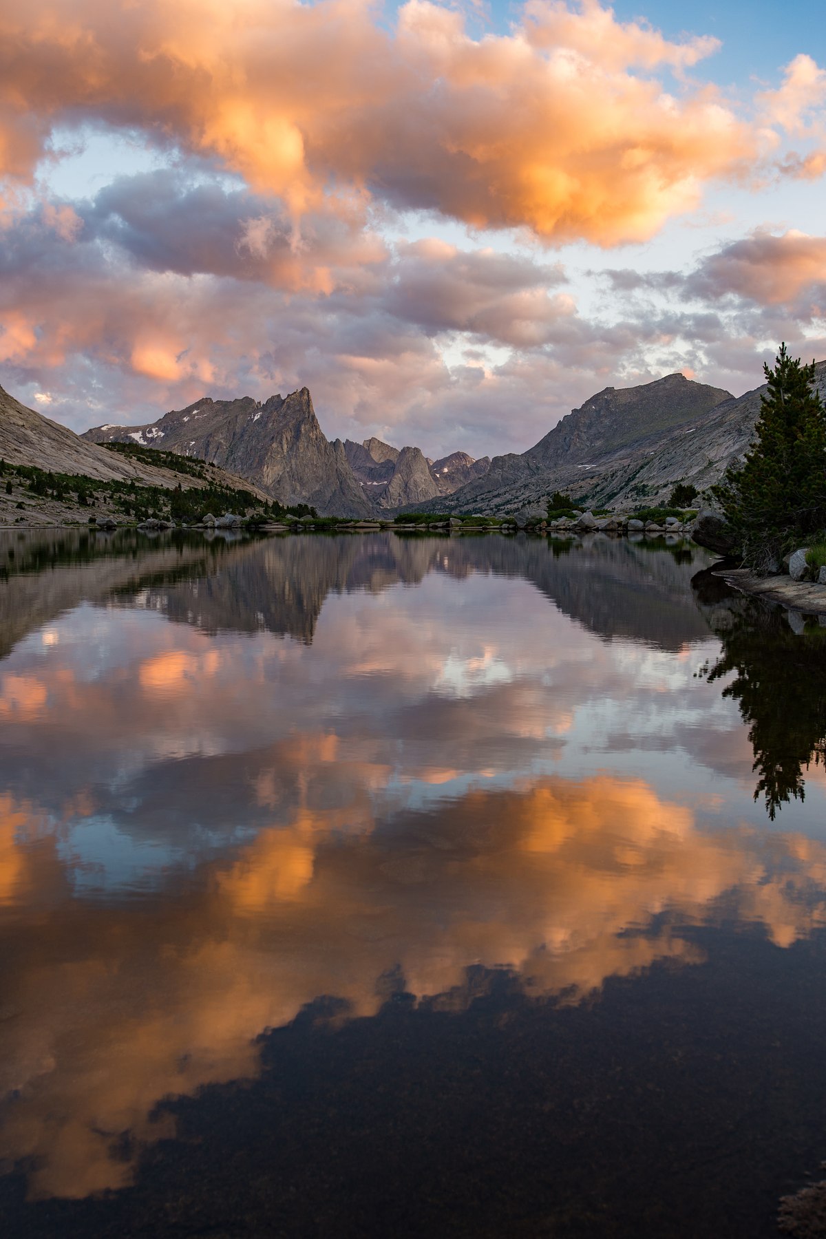 Deep-Reflection
