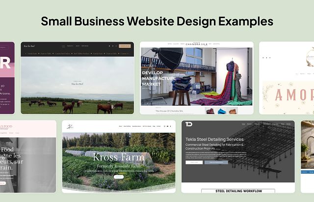 13 Small Business Website Design Examples (2026)