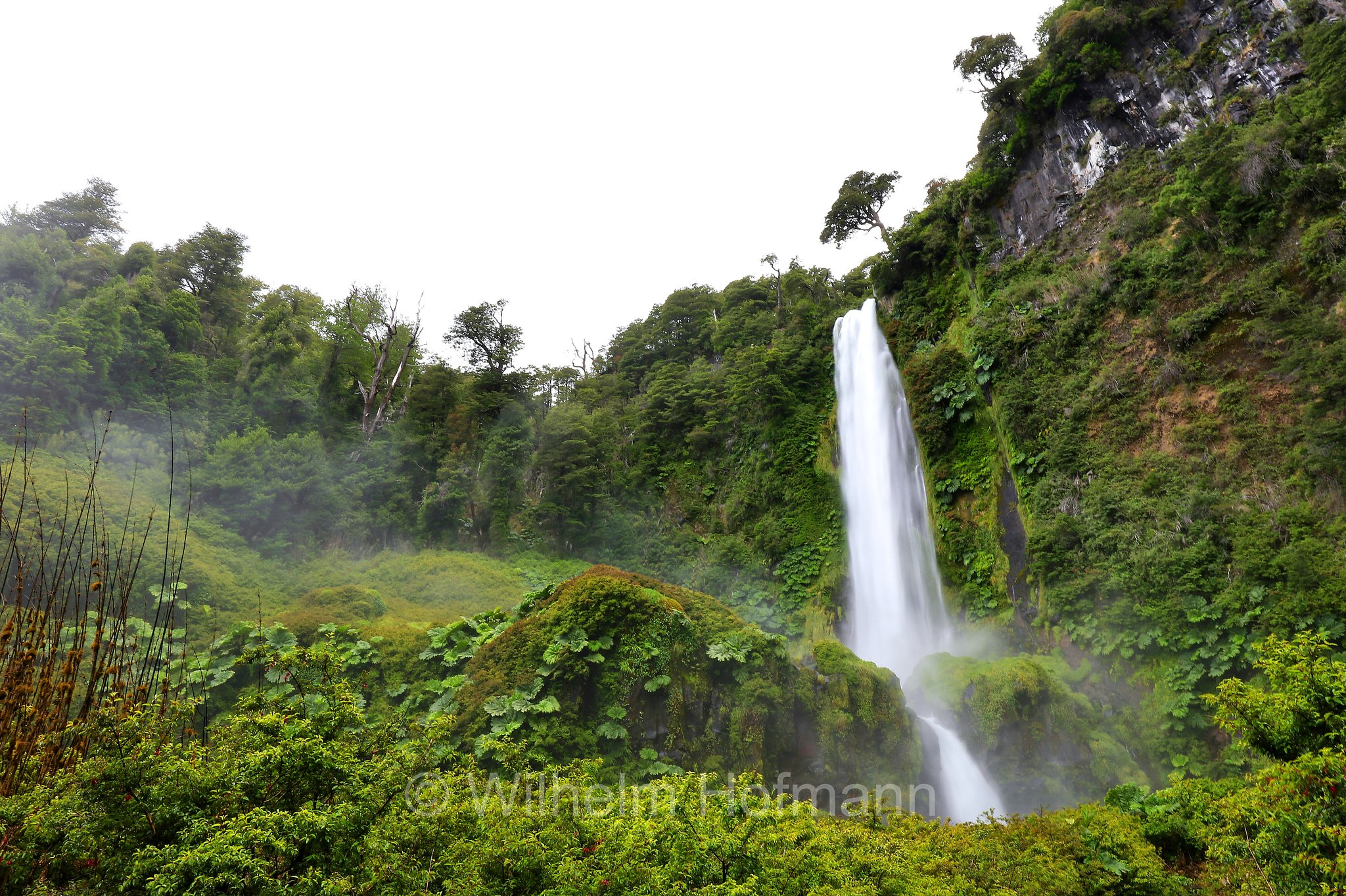 Salto El Léon, Araucanía Region, Araucanía, Región de La Araucanía, Regione dell'Araucanía, Chile, Cile