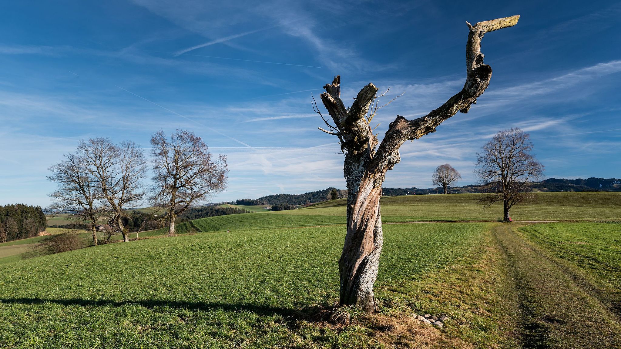 Affoltern im Emmental