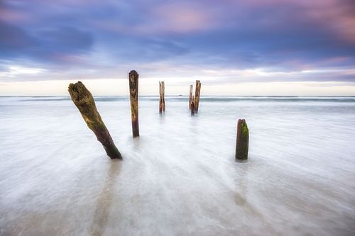 Seascapes, ocean, waves, shores, sand, rocks, surf, clouds, sky, travel, nature, landscape, seaside, beach, long exposure, Dunedin, Otago, South Island, New Zealand, pylons, pier, sunset, sunrise, Saint Clair,