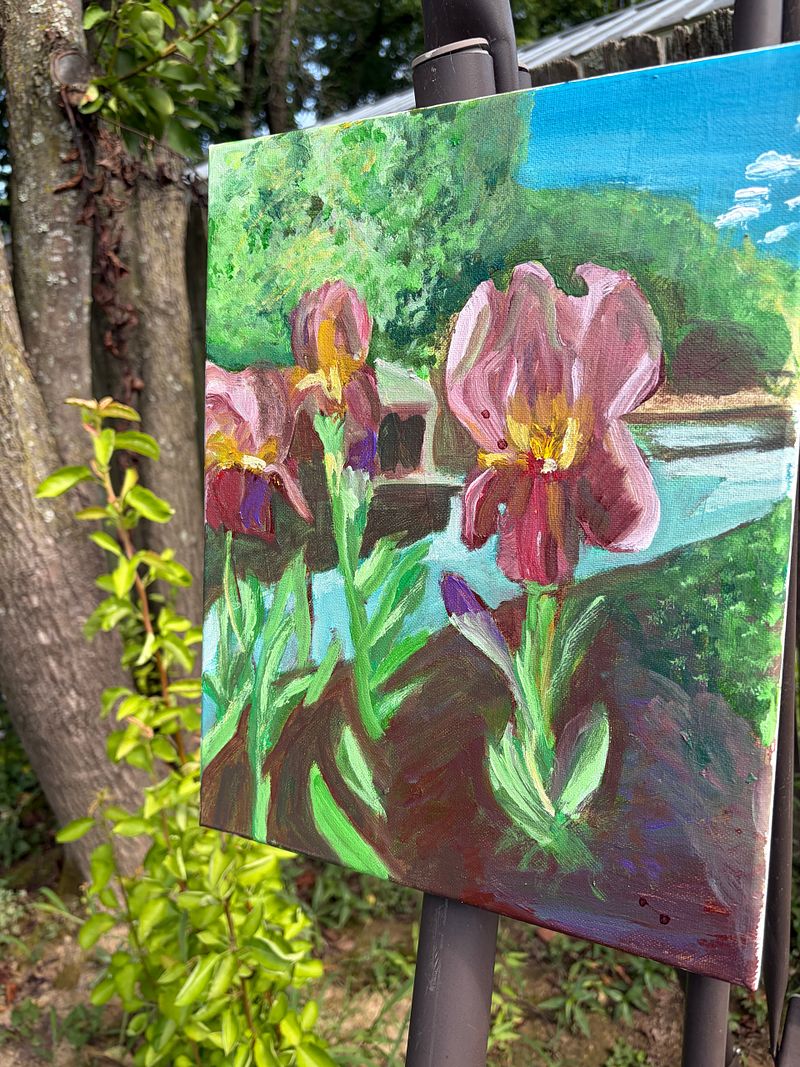 Iris