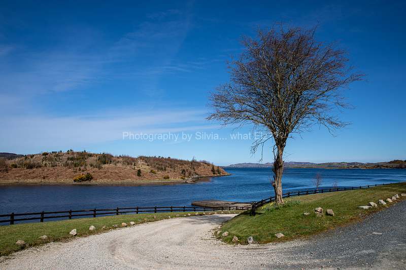 IRLAND