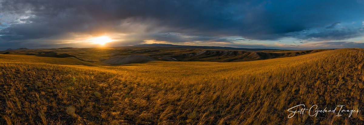 Golden Light