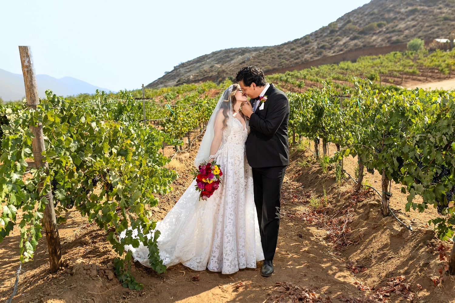 Bride and groom kissing among the vineyards in Valle de Guadalupe, Baja California