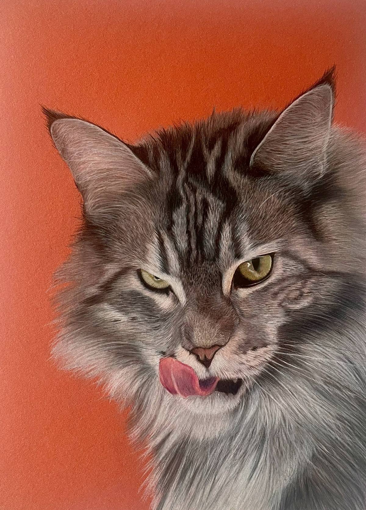 Original coloured pencil cat drawing, licking his lips and looking straight at the viewer. Cat is drawn on a plain burnt orange background