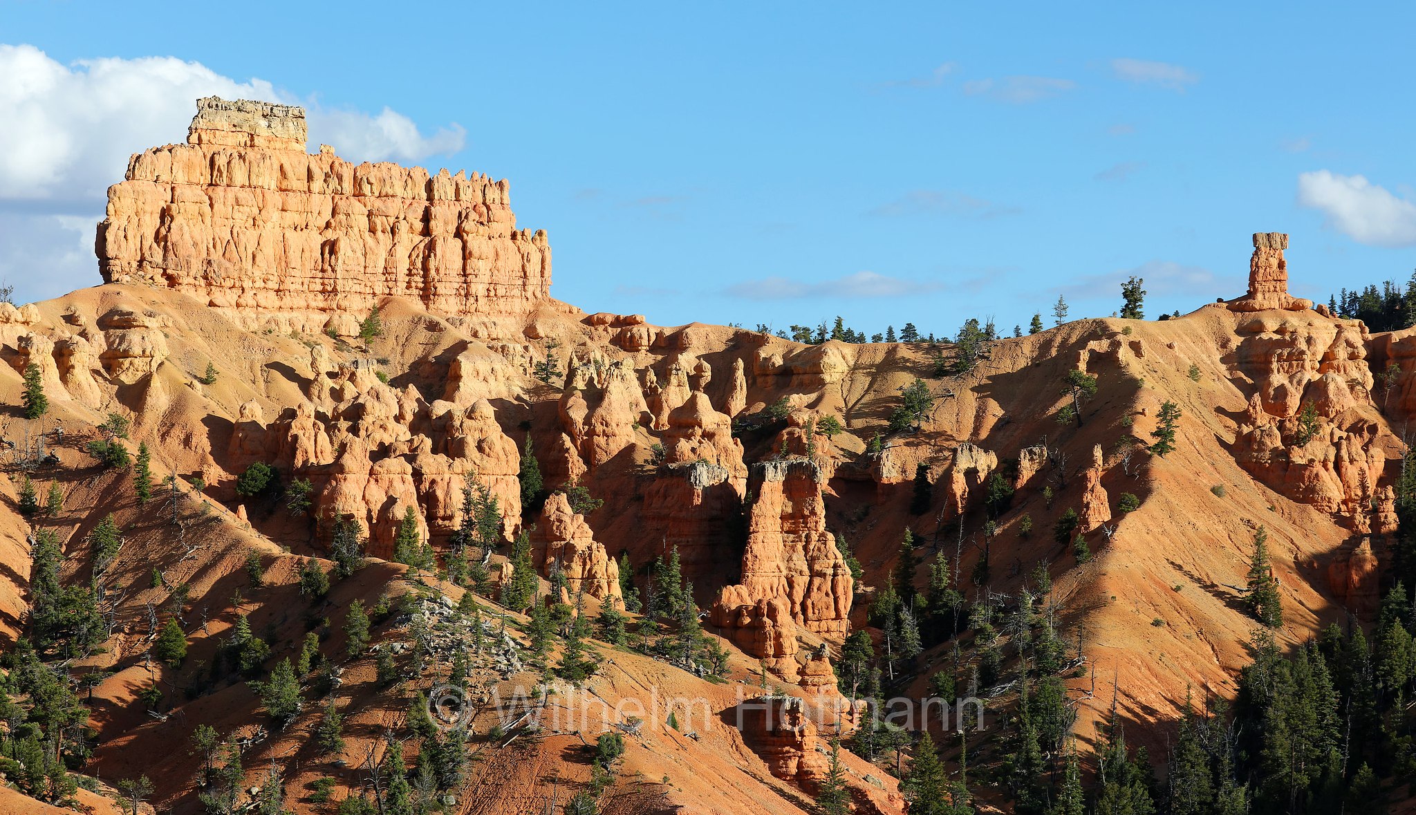 Red Canyon, Dixie National Forest, Utah, USA