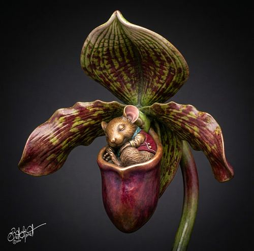 The Orchid's Keeper