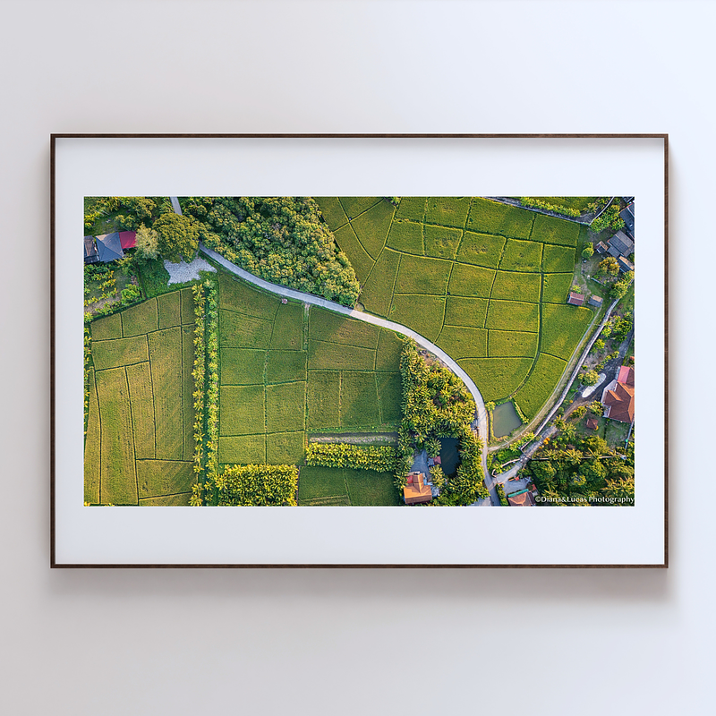 COLLECTION - FROM ABOVE HORIZONTAL - "The Rice Grid" - LIMITED EDITION 10 of 10