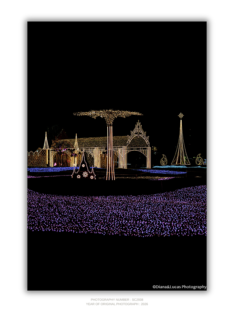 COLLECTION - URBAN GEOMETRY VERTICAL - "Garden of Lights" - LIMITED EDITION 10 of 10