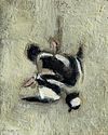 Bufflehead Still Life