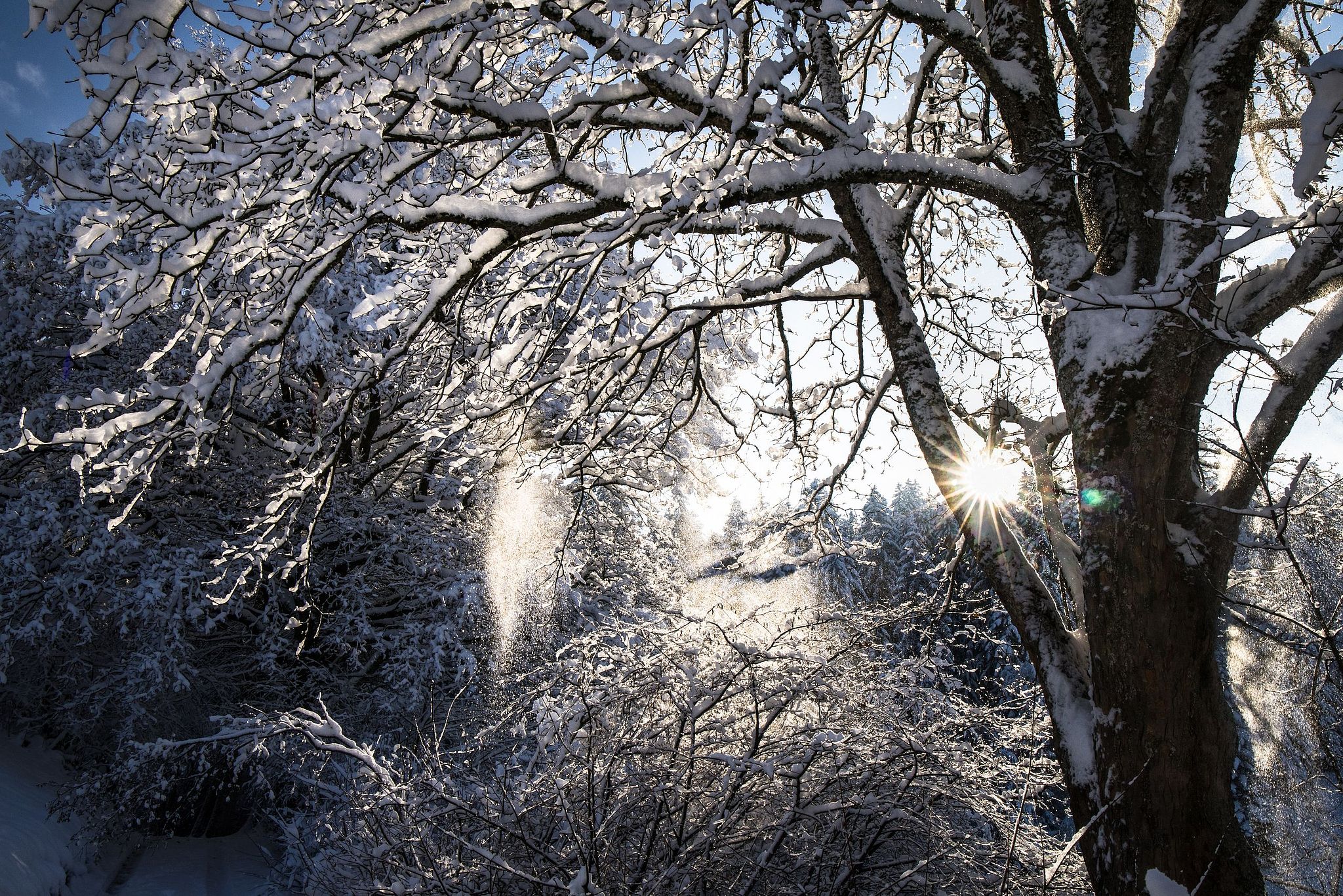 Im winterlichen Biembach