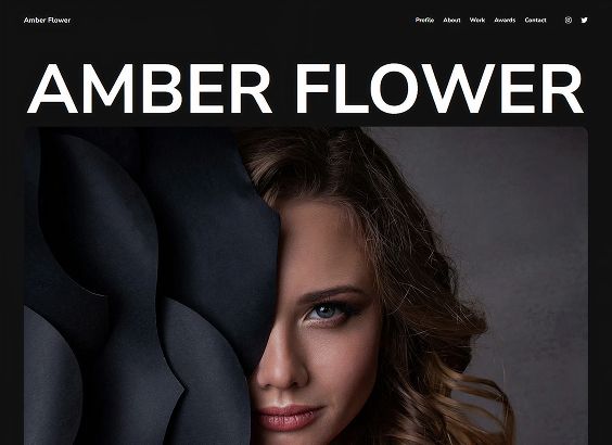 Model portfolio website