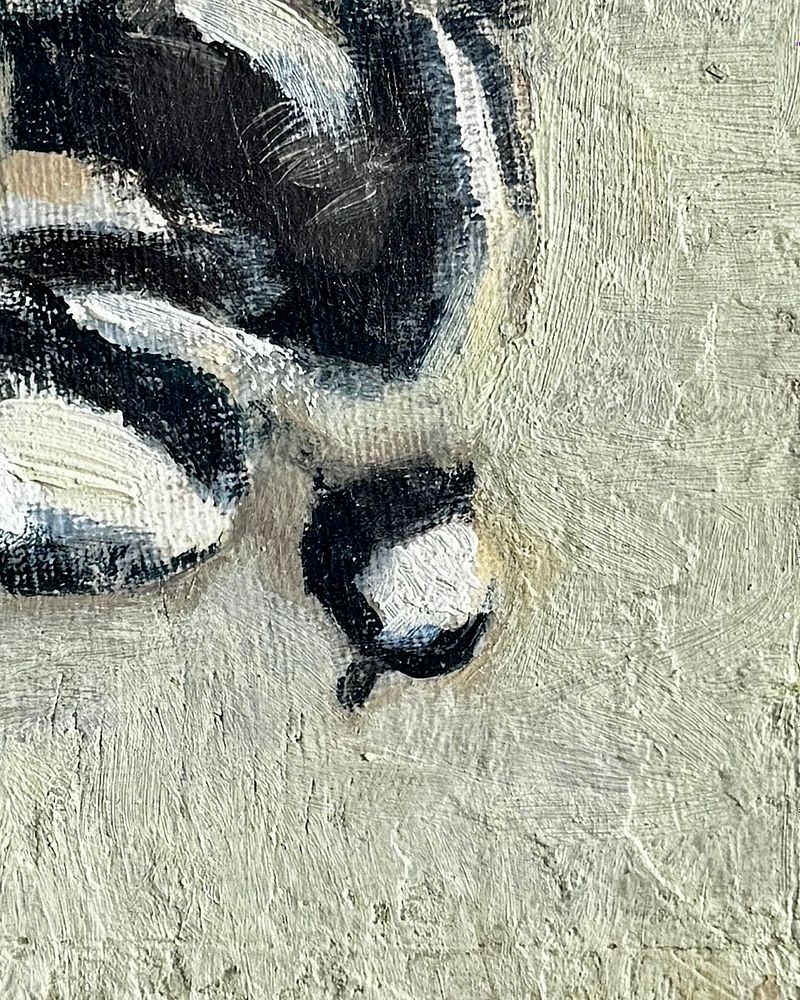 Bufflehead Still Life