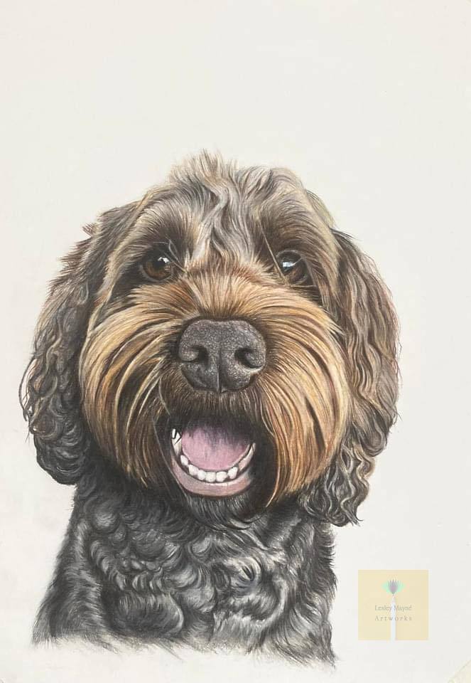 Lesley Mayne Artworks Pet Portrait Cockapoo Lesley Mayn&eacute;