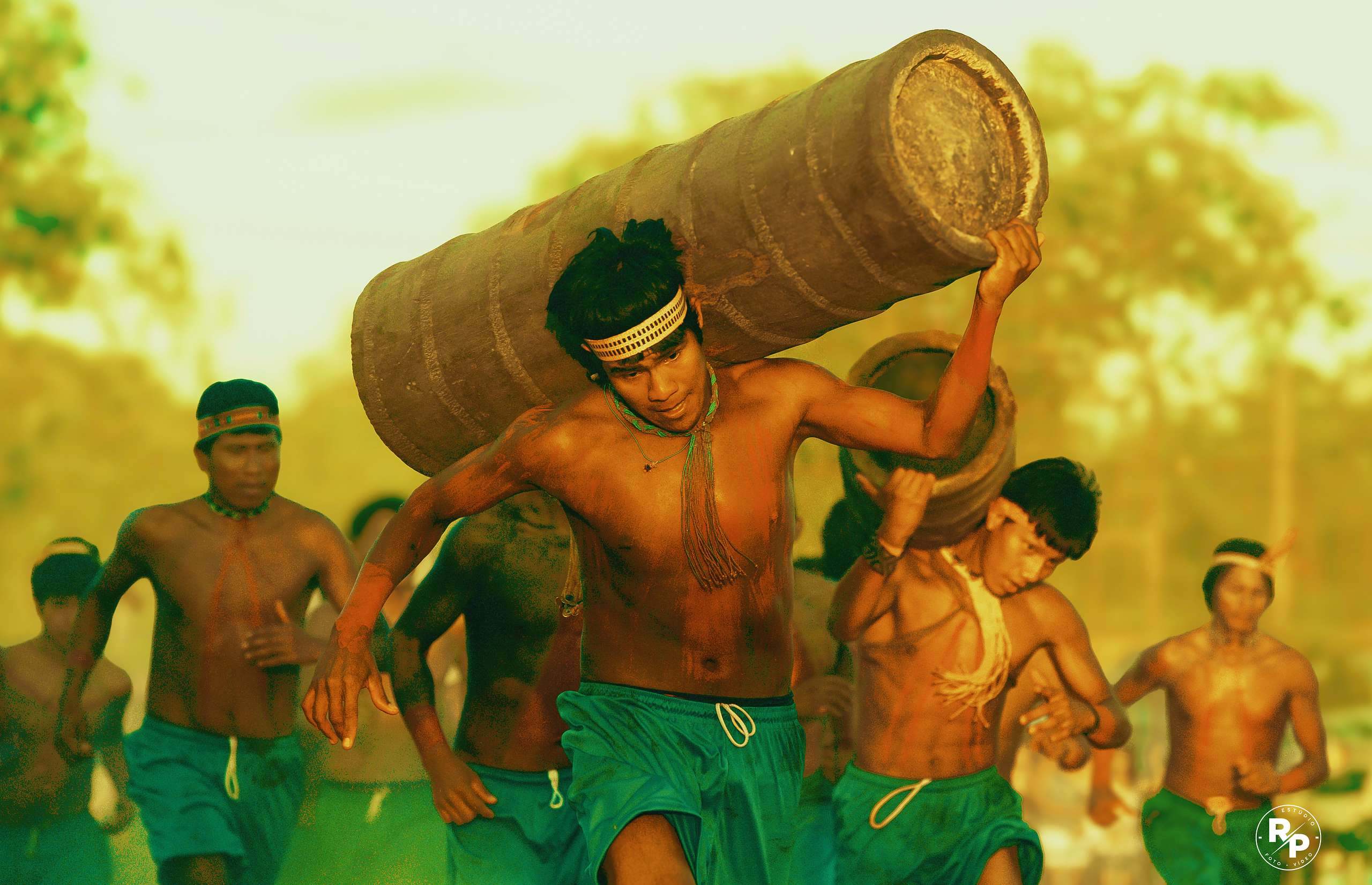 Brasil Indigena