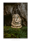 COLLECTION - SACRED DETAILS VERTICAL - "Under the Old Tree" - LIMITED EDITION 10 of 10