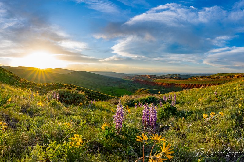 Red Canyon Ranch