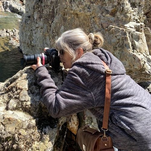 Hello, I am Danette Steele. A photographer/artist currently adrift in a motorhome.
