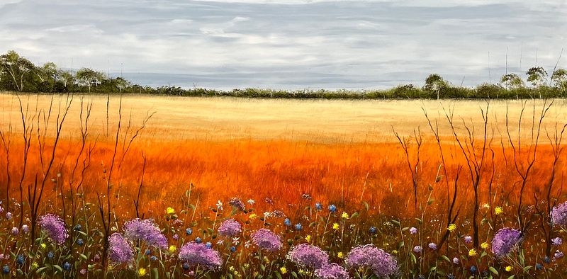 Australian Outback Wildflower Meadow