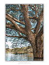COLLECTION - GIANTS OF THE LAND VERTICAL - "Everything in Proportion" - LIMITED EDITION 10 of 10
