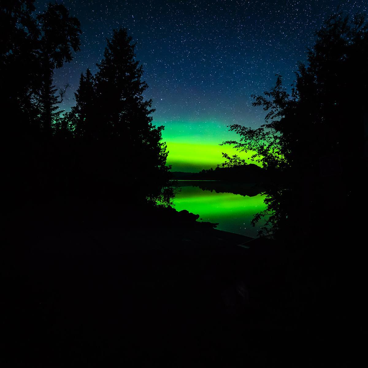 The Night We Chased the Lights