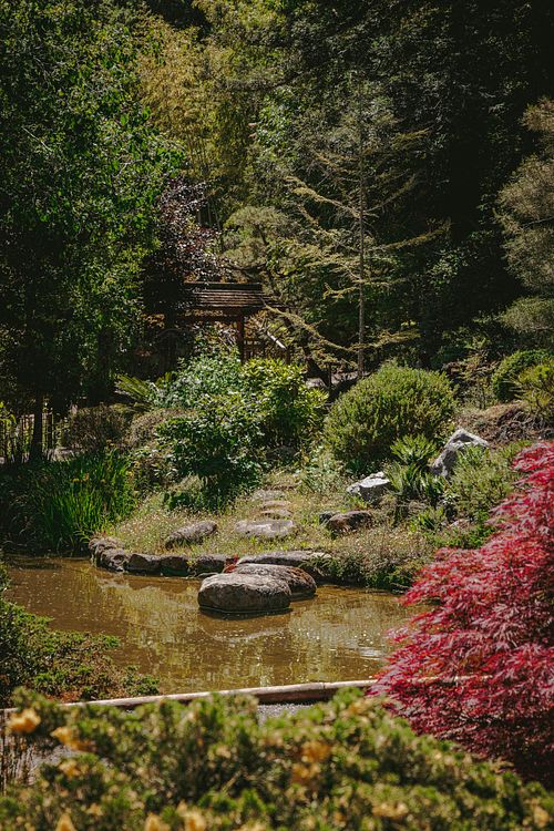 Tranquil Stream