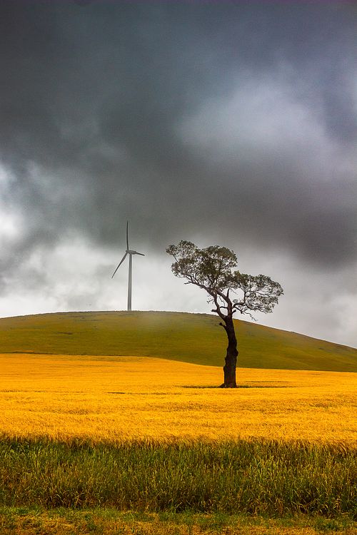 LANDSCAPE PHOTOGRAPHY