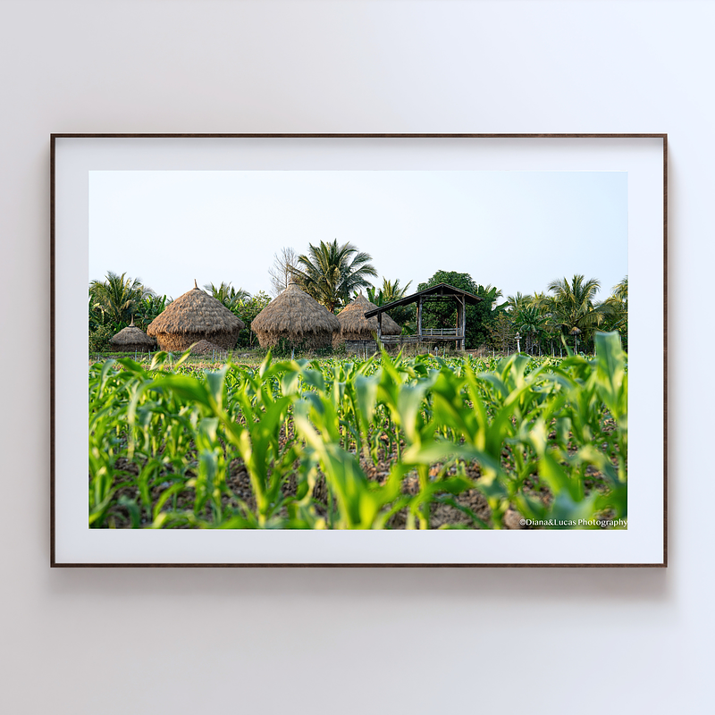 THE ONE - WILDLIFE & NATURE - "Farm Level" - LIMITED EDITION 5 of 5